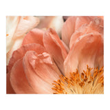Coral Charm #1 (Print Only) thumbnail