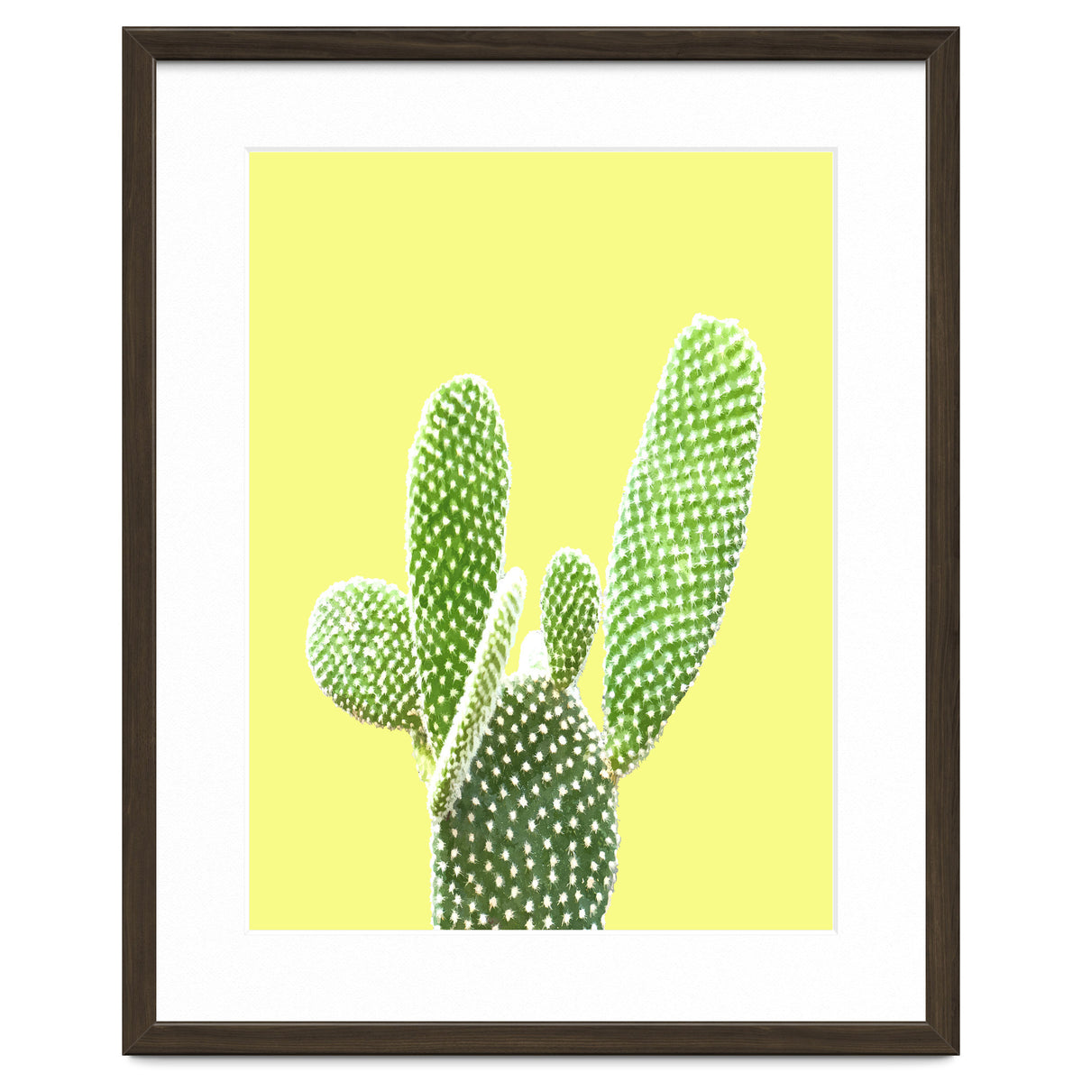 Cactus Yellow Background