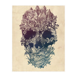 Skull Floral  (Print Only) thumbnail