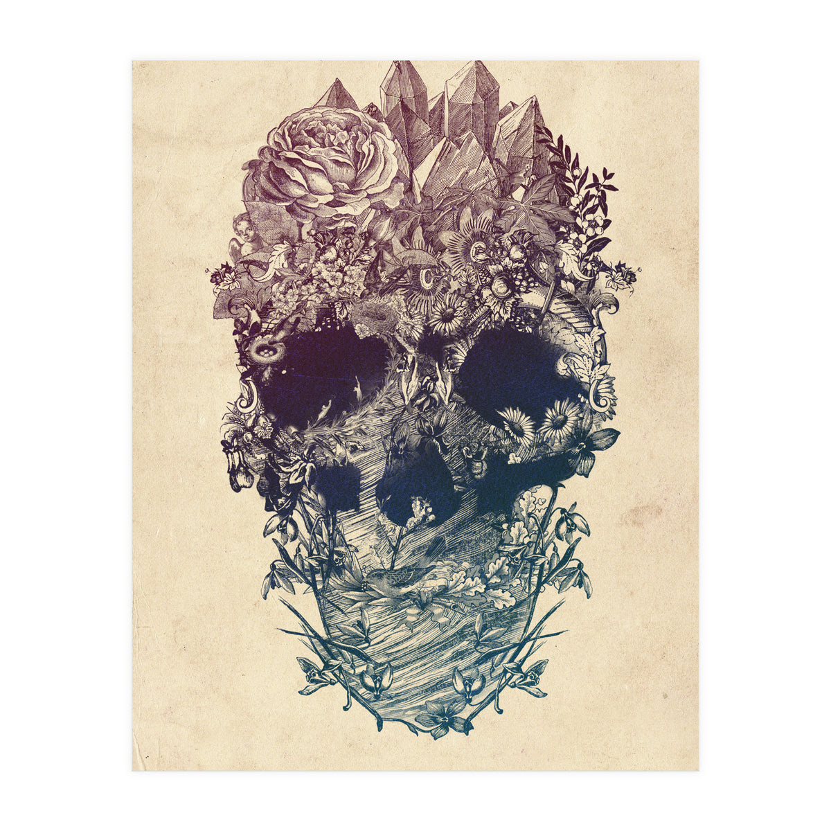 Skull Floral  (Print Only)