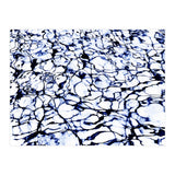 Dye Painted Waters (Print Only) thumbnail