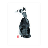 Returned Cat (Print Only) thumbnail
