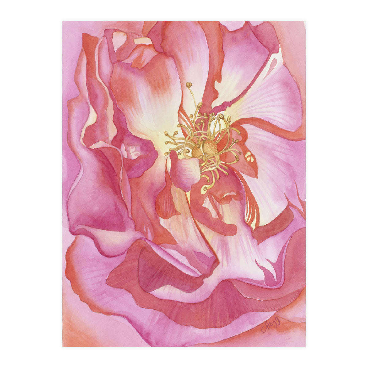 Love Is A Rose (Print Only)