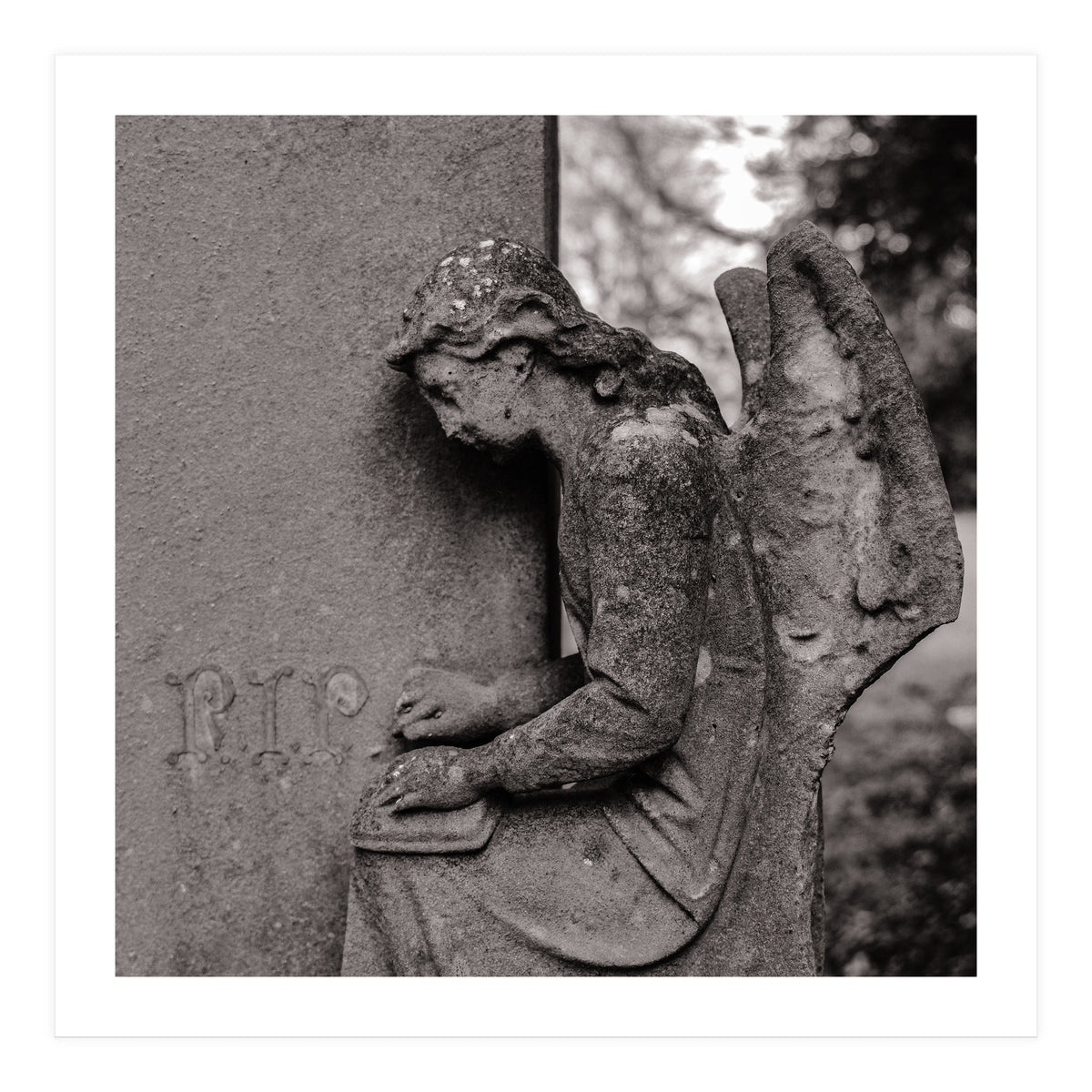 Rest in Peace (Print Only)