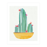 Bowl O' Cactus (Print Only) thumbnail