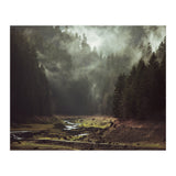 Foggy Forest Creek (Print Only) thumbnail
