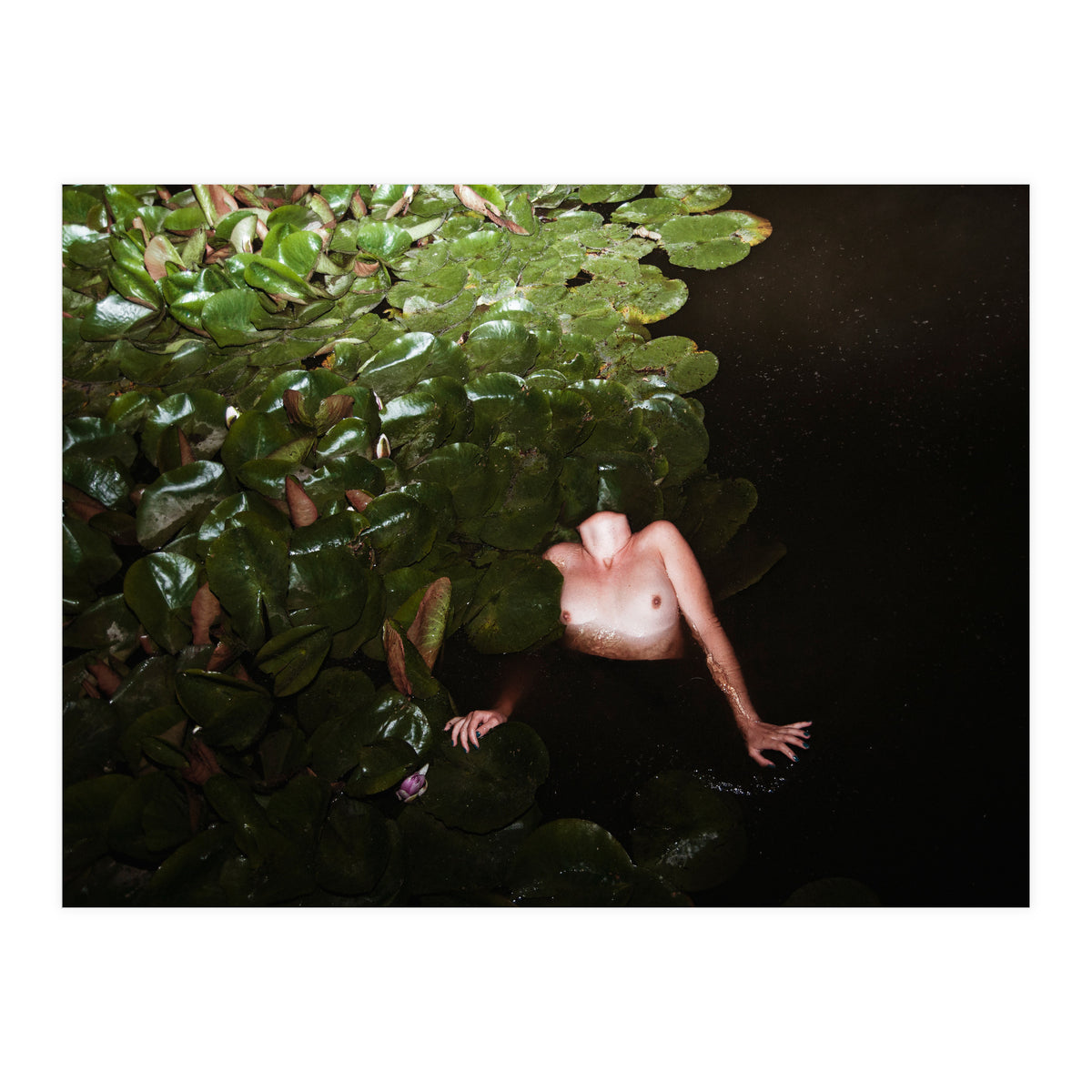 This is Not what You think it Is (Print Only)