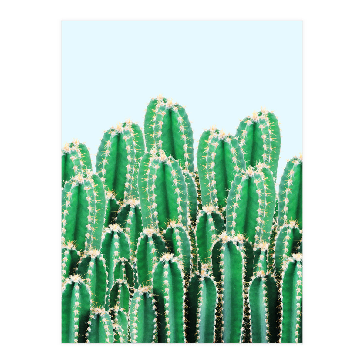 Kaktos II (Print Only)