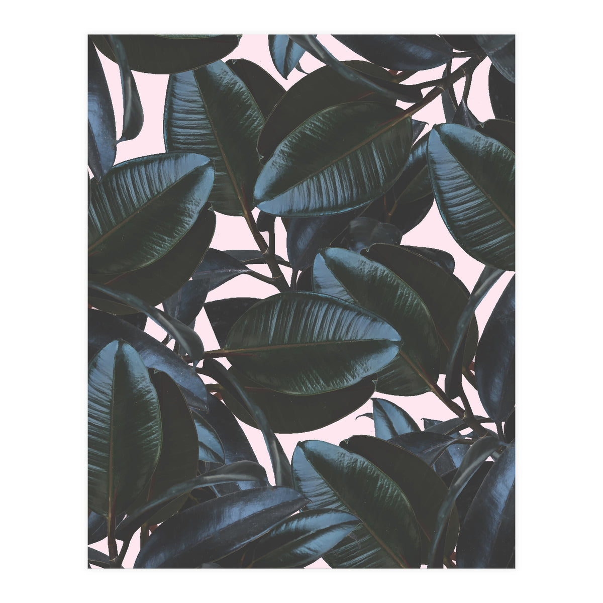 Charming Impression (Print Only)