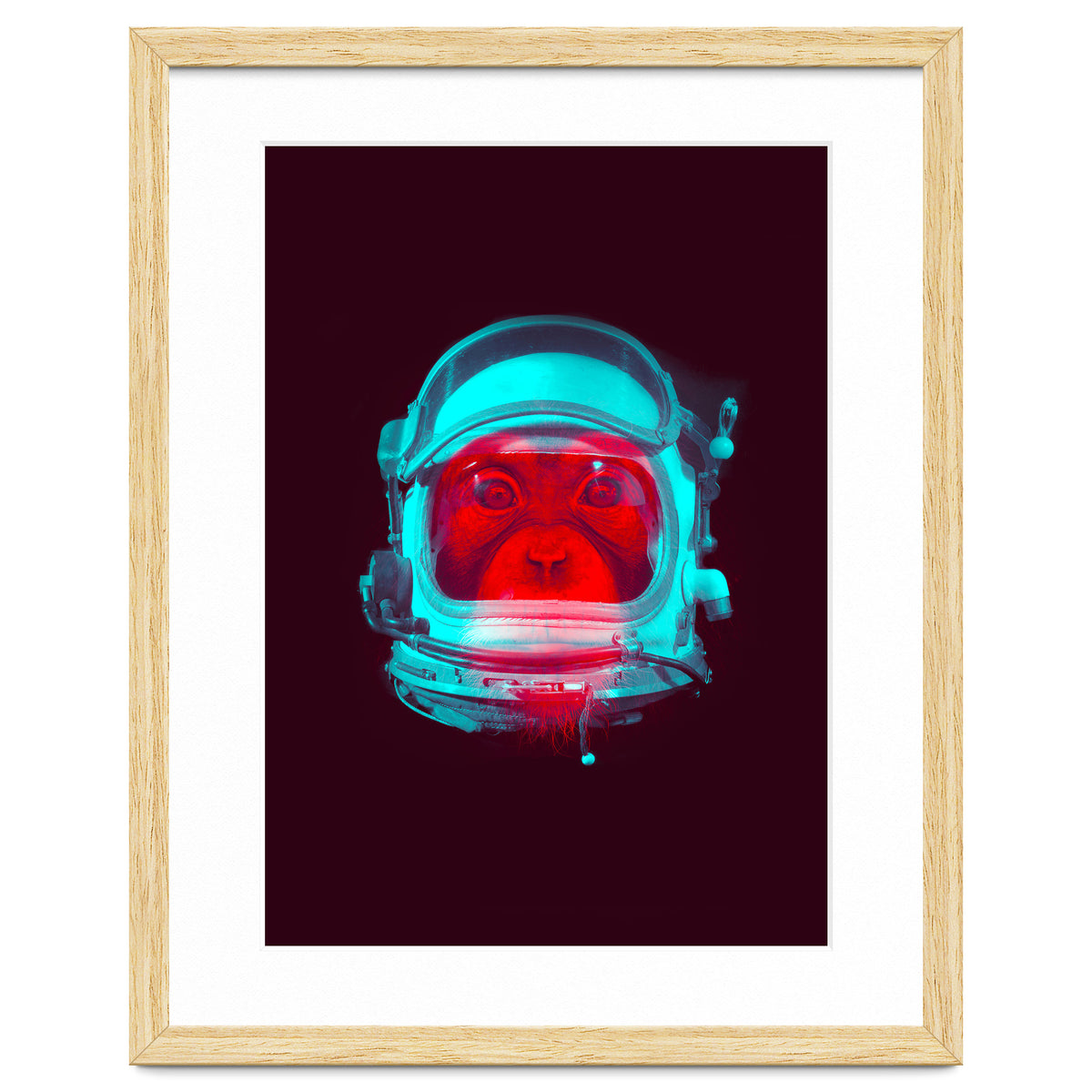 Astronaut