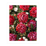 Blossom Love (Print Only) thumbnail