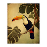 Toucan Vintage Jungle Painting (Print Only) thumbnail
