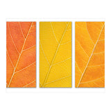 Autumn Leaves (Print Only) thumbnail