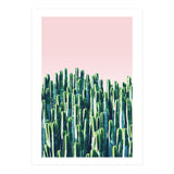 Cactus & Sunset II (Print Only) thumbnail