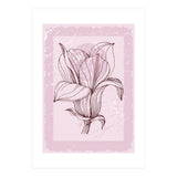 Magnolia - Minimal Contemporary Botanical Floral (Print Only) thumbnail