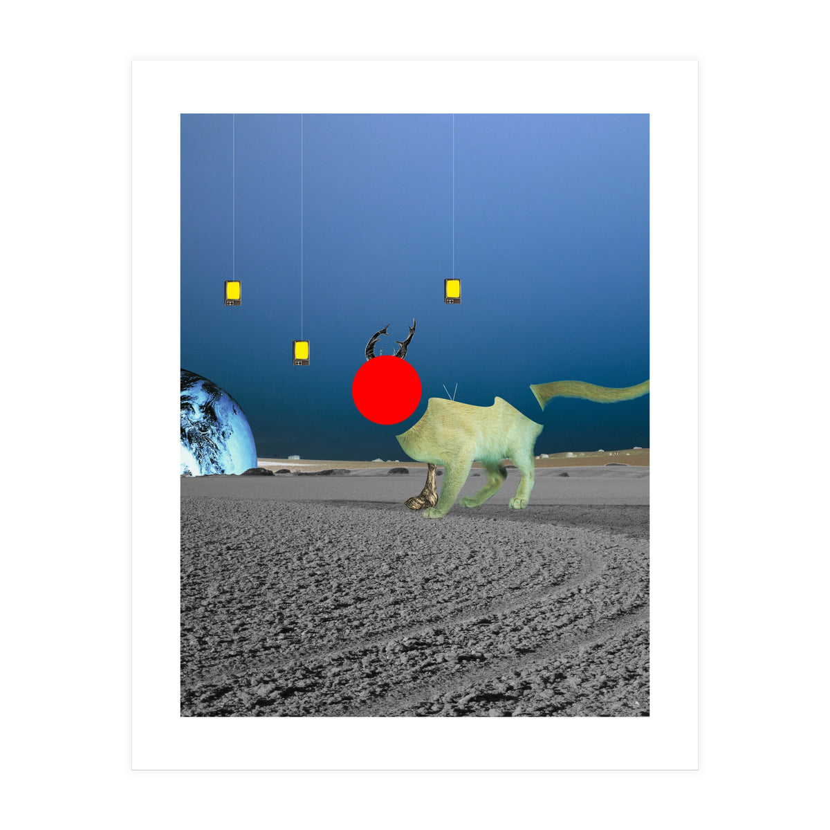 Le Cat? (Print Only)