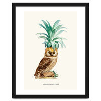 Pineapple Owl Vintage