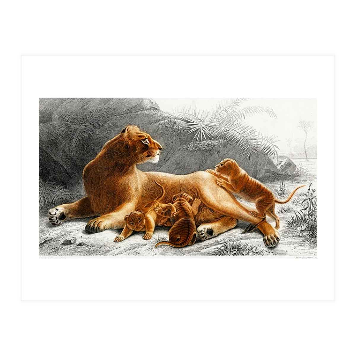 Fails Leo illustrated (Print Only)