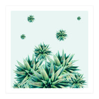 Tropical Stars (Print Only)