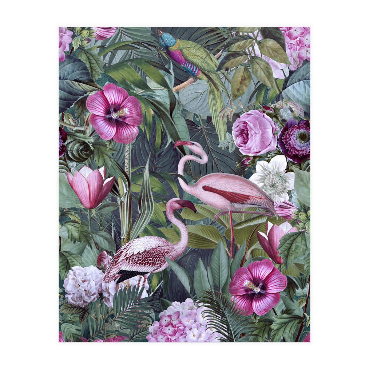 Flamingos 3 (Print Only)