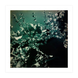 GREEN POEM (Print Only) thumbnail