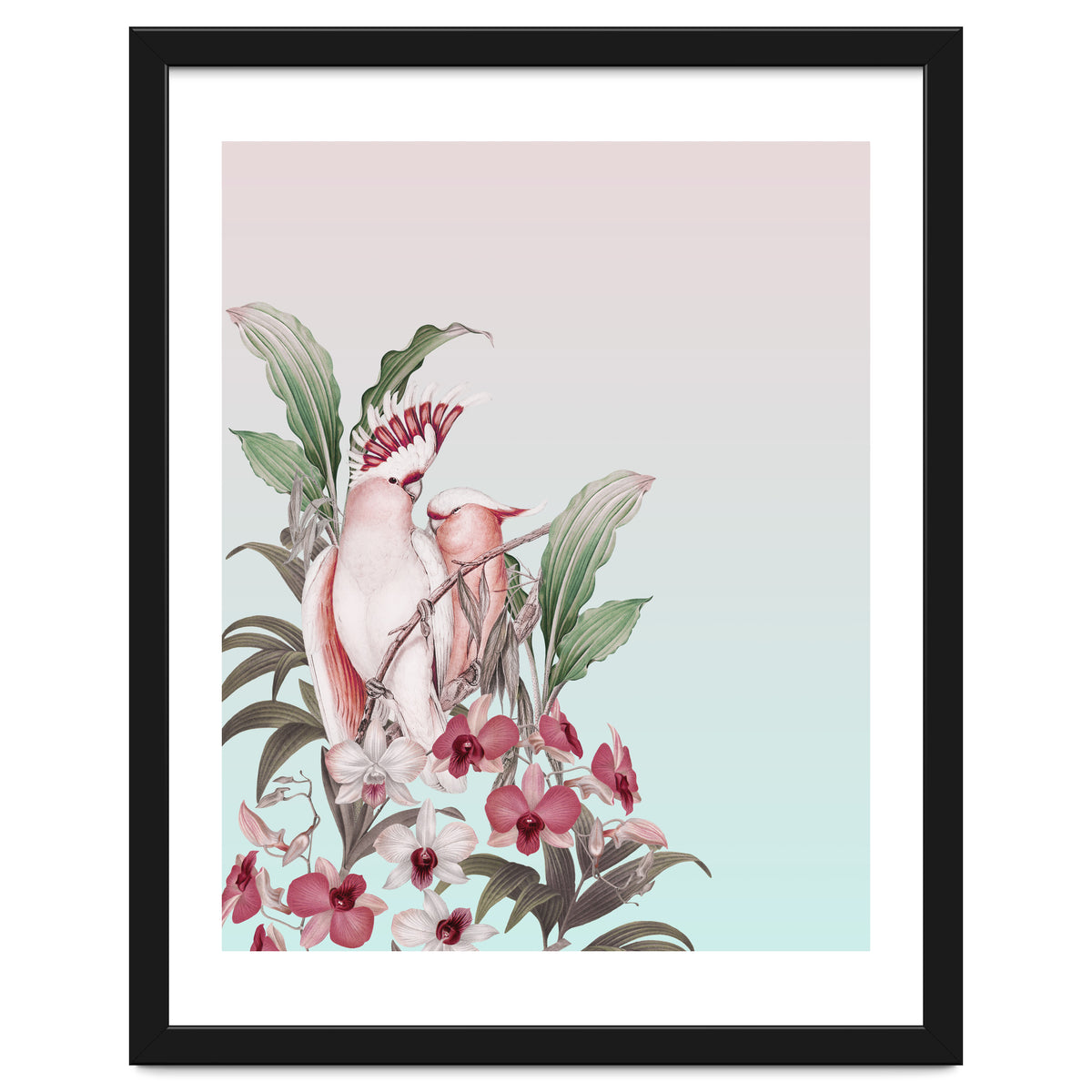 Pastel Cockatoos Paradise