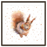 Squirrel - Wild Woods collection
