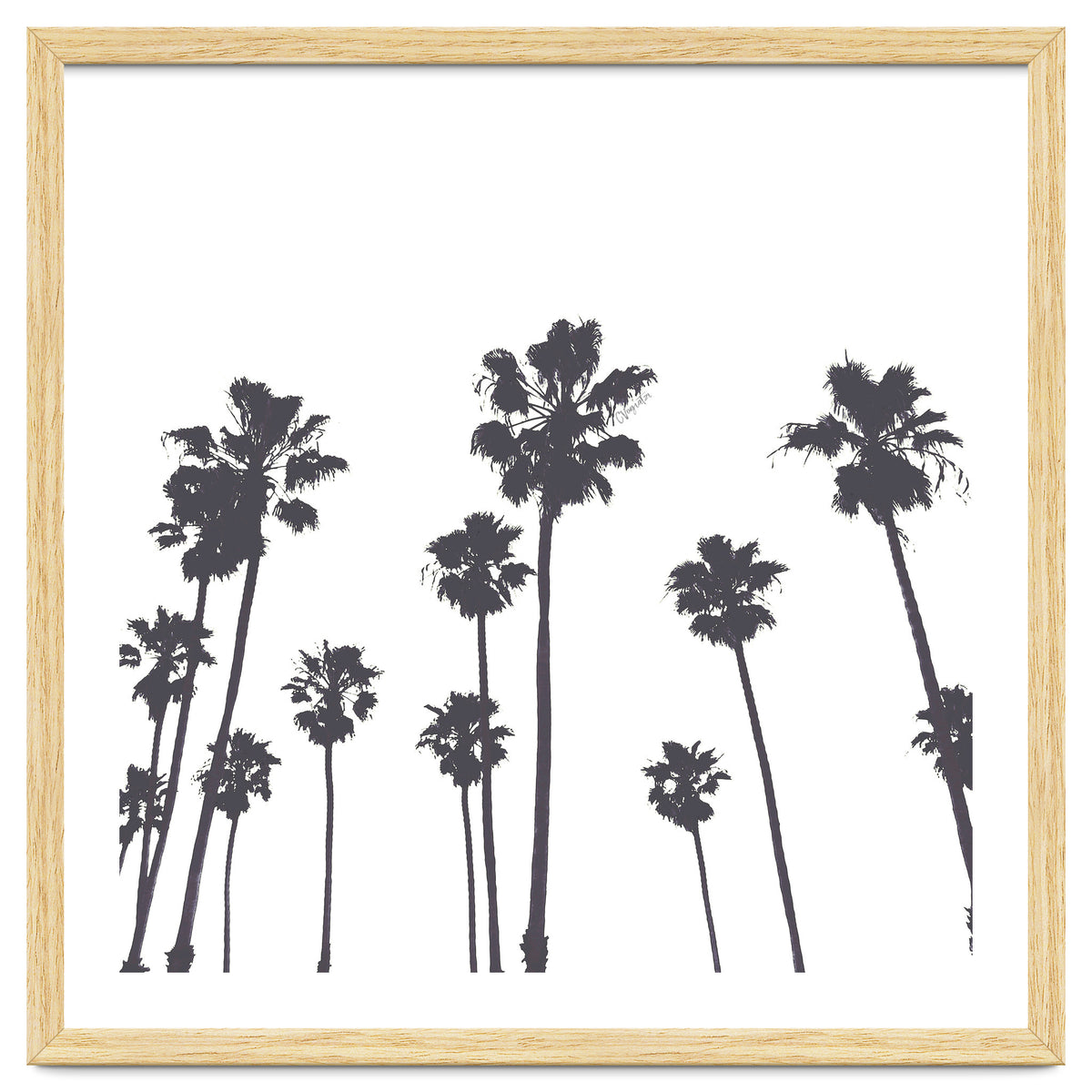 Palms & Sunset-Minimal B&W