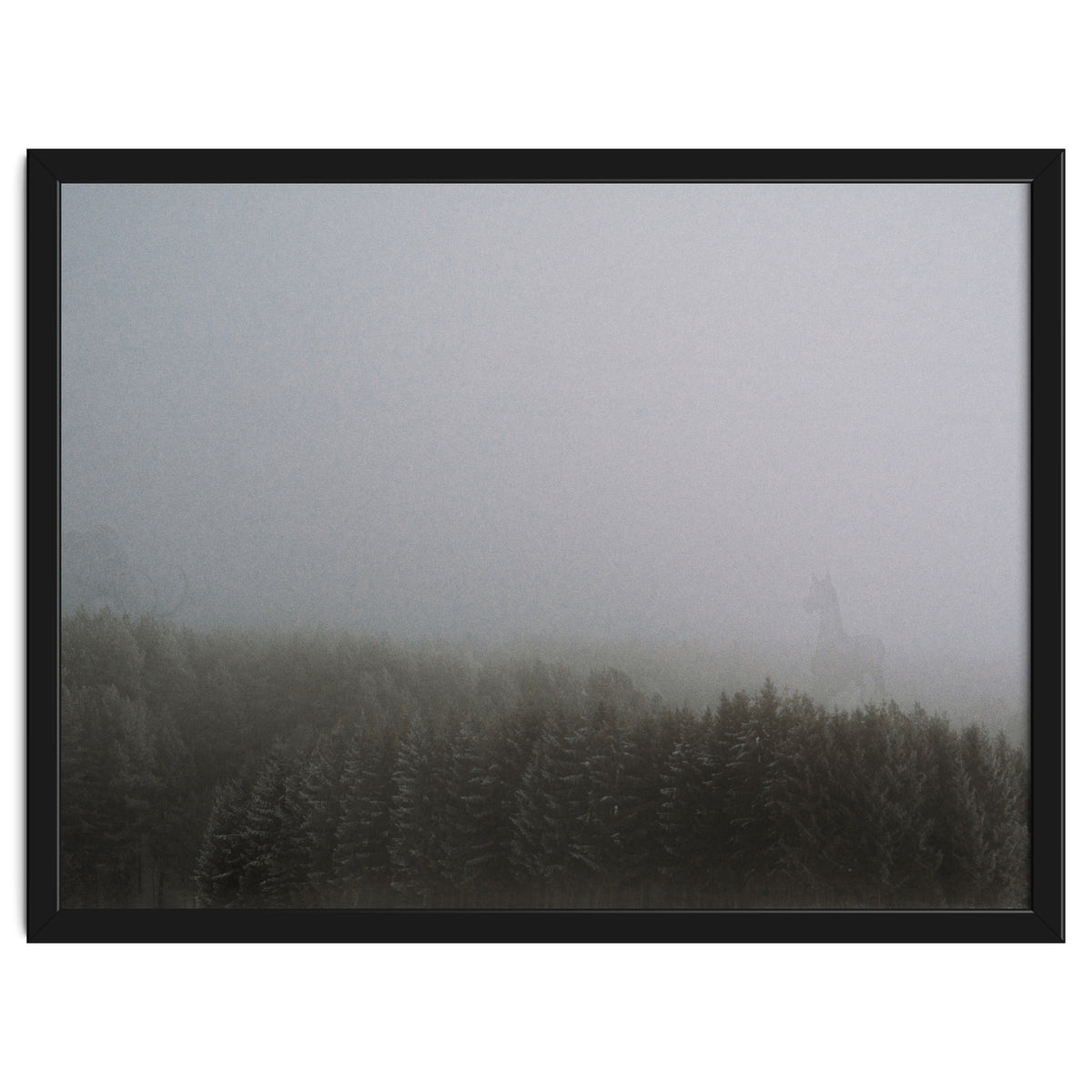 What the Hell did I just See?