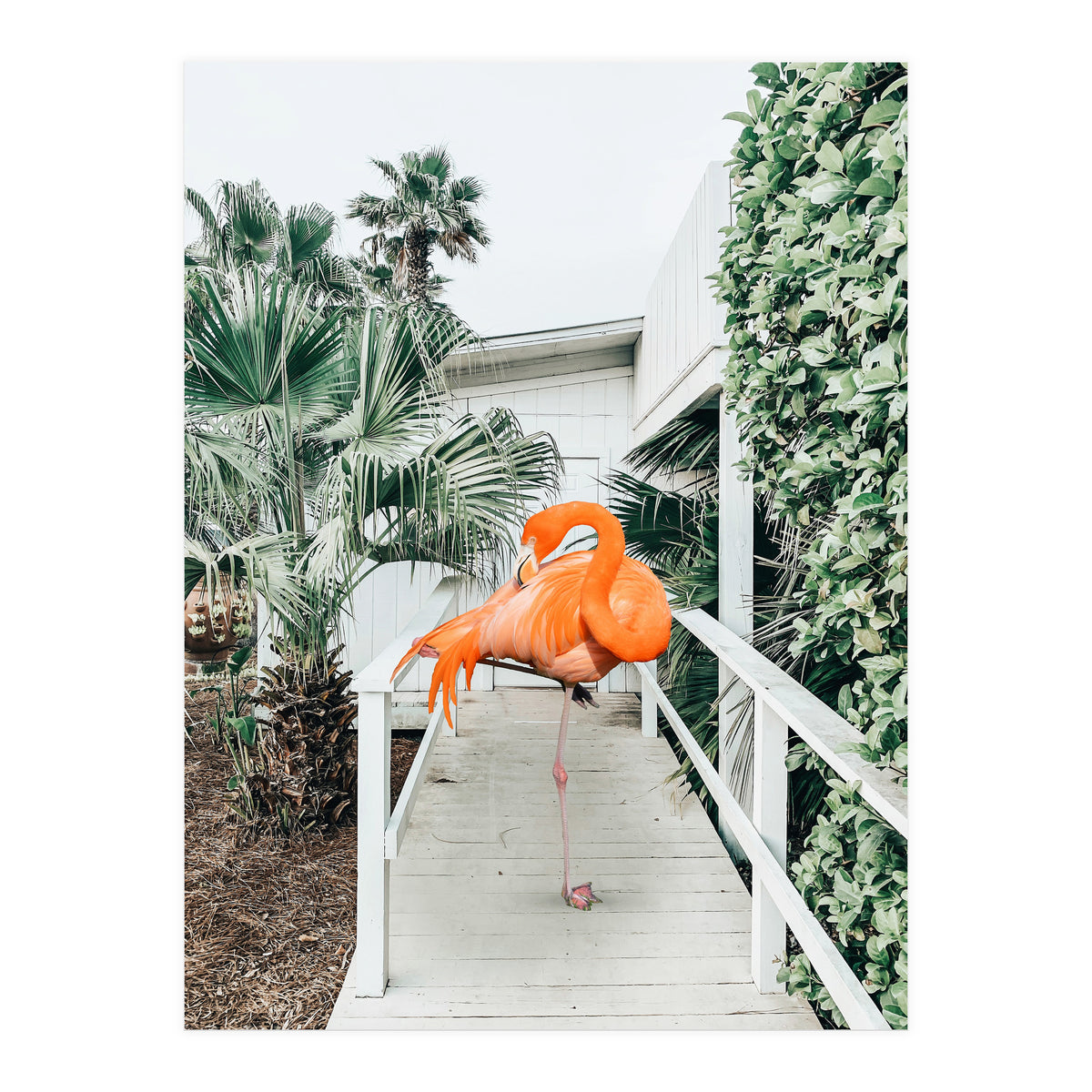 Flamingo Beach House (Print Only)