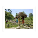Nuwara Eliya, Sri Lanka (Print Only) thumbnail
