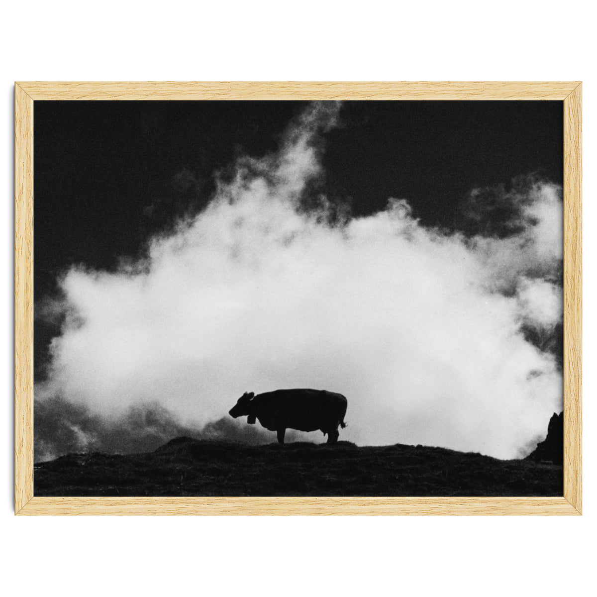 cow and cloud