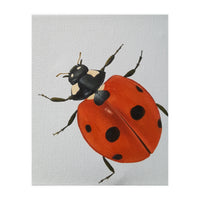 Ladybird  (Print Only)
