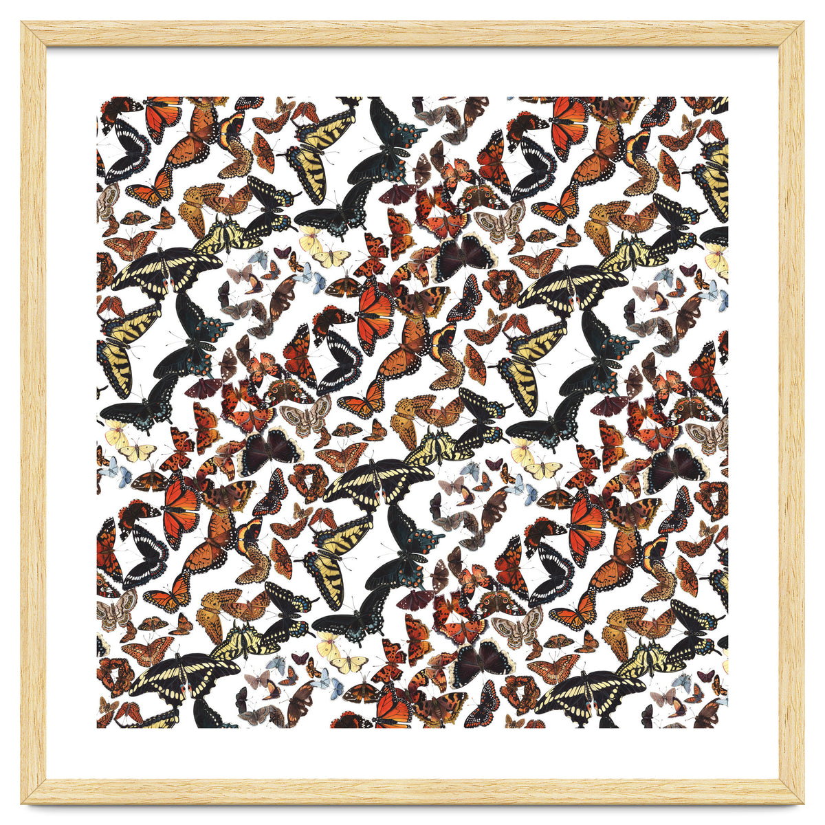 Maine Butterflies Pattern