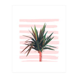 Dreamer (Print Only) thumbnail