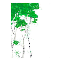 Birch forest (Print Only)