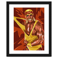 Hulk Hogan WWE