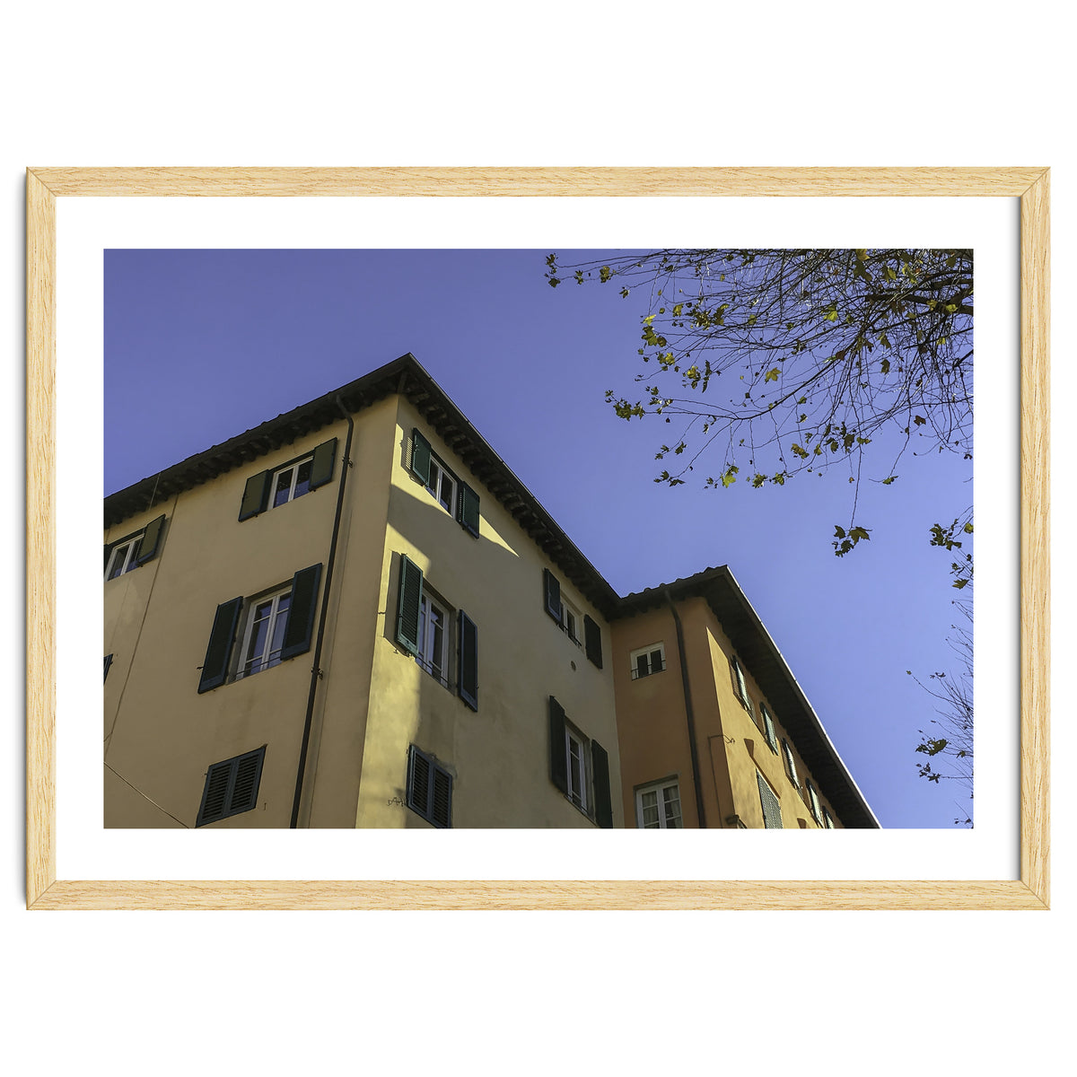 Windows From Tuscany 2