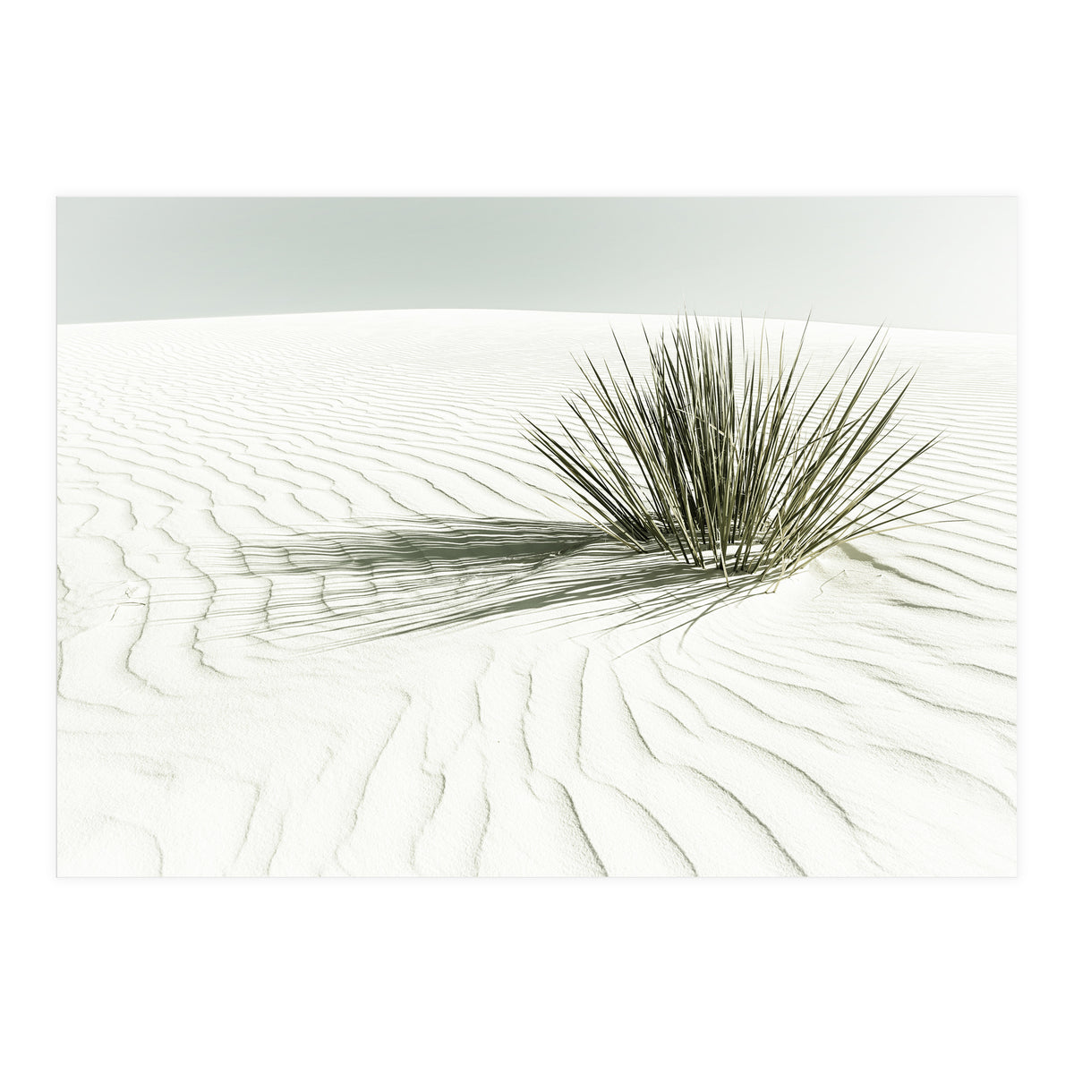 WHITE SANDS Idyllic scenery | Vintage (Print Only)