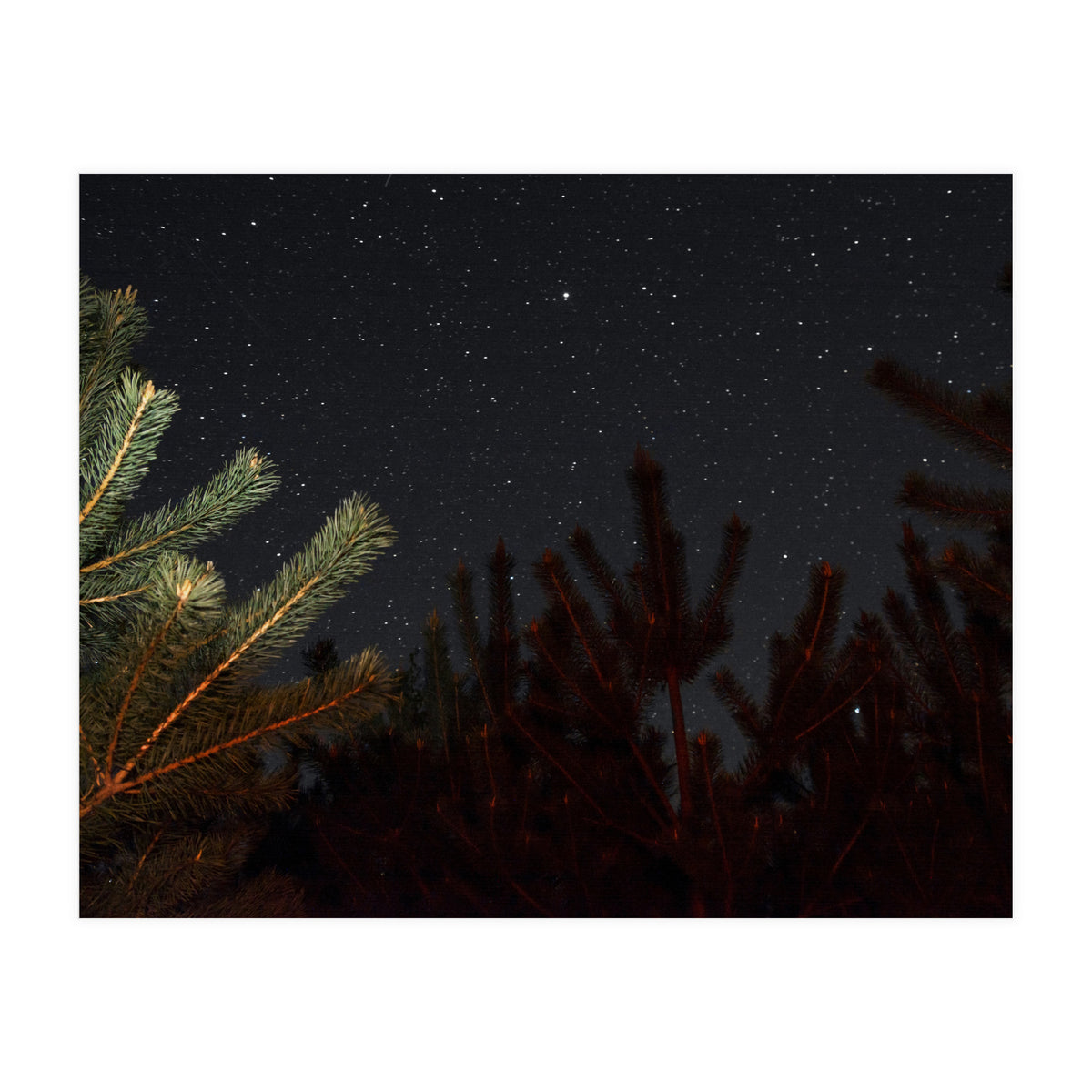 Sputnik Turntables (Print Only)