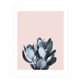 Cactus collection BL-II (Print Only) thumbnail