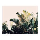 Paradise #4  (Print Only) thumbnail