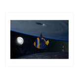 Fish fly (Print Only) thumbnail