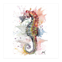 Seahorse - Wildlife Collection (Print Only)