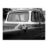 San Francisco (Print Only) thumbnail
