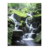 Forest (Print Only) thumbnail