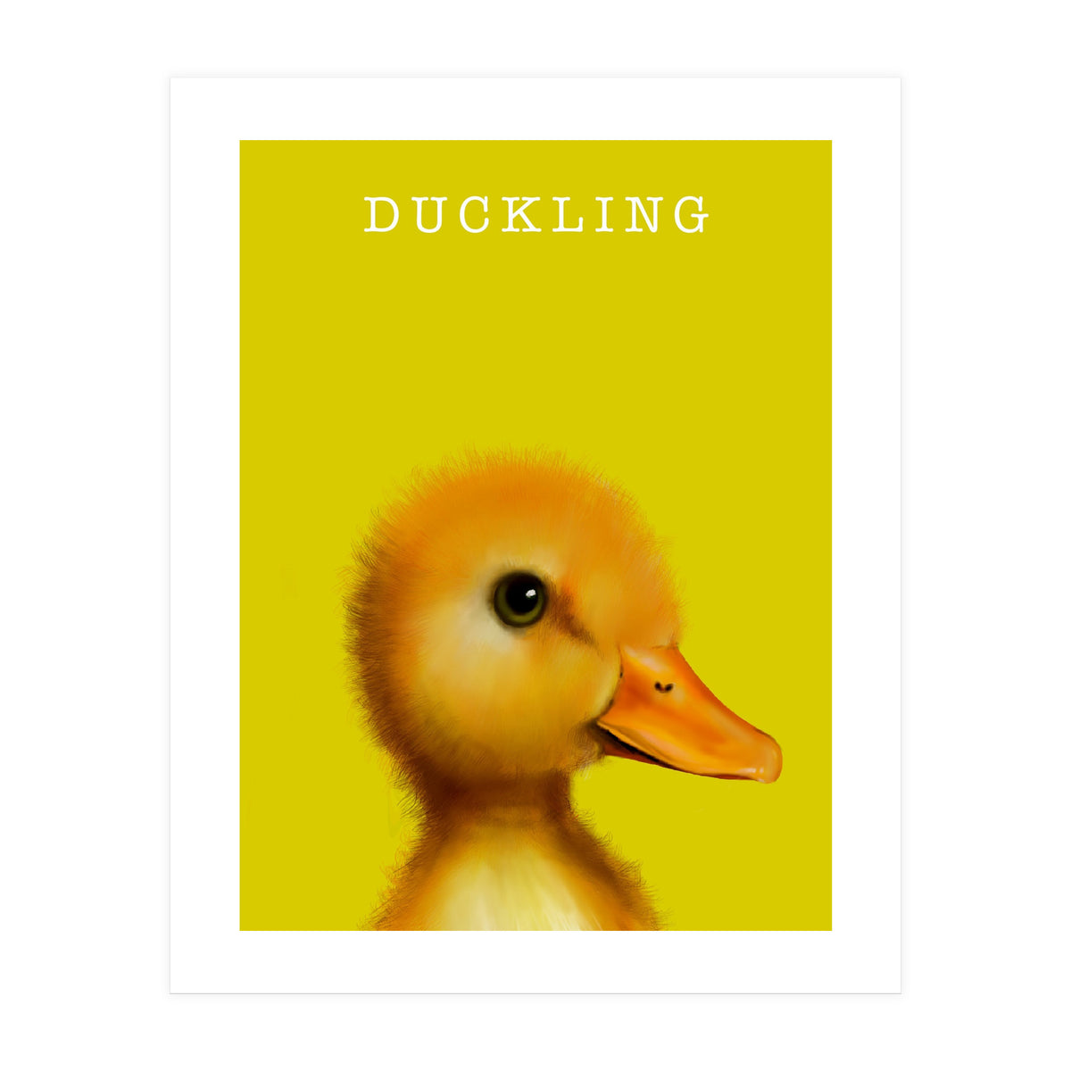 Duckling (Print Only)