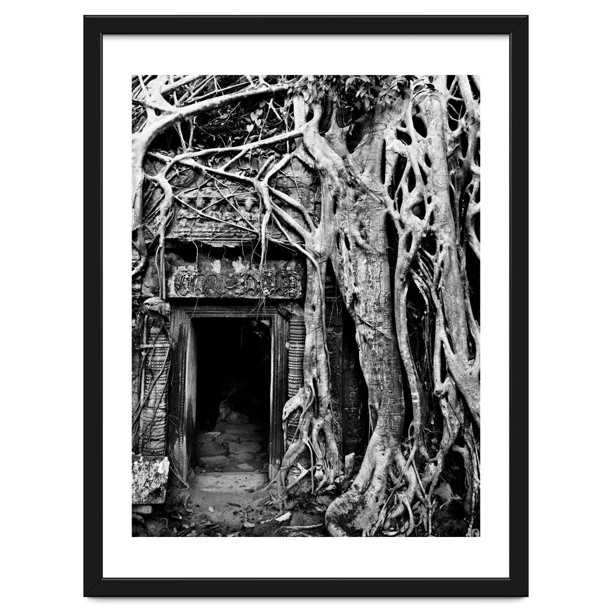 Ta Prohm Temple, Cambodia