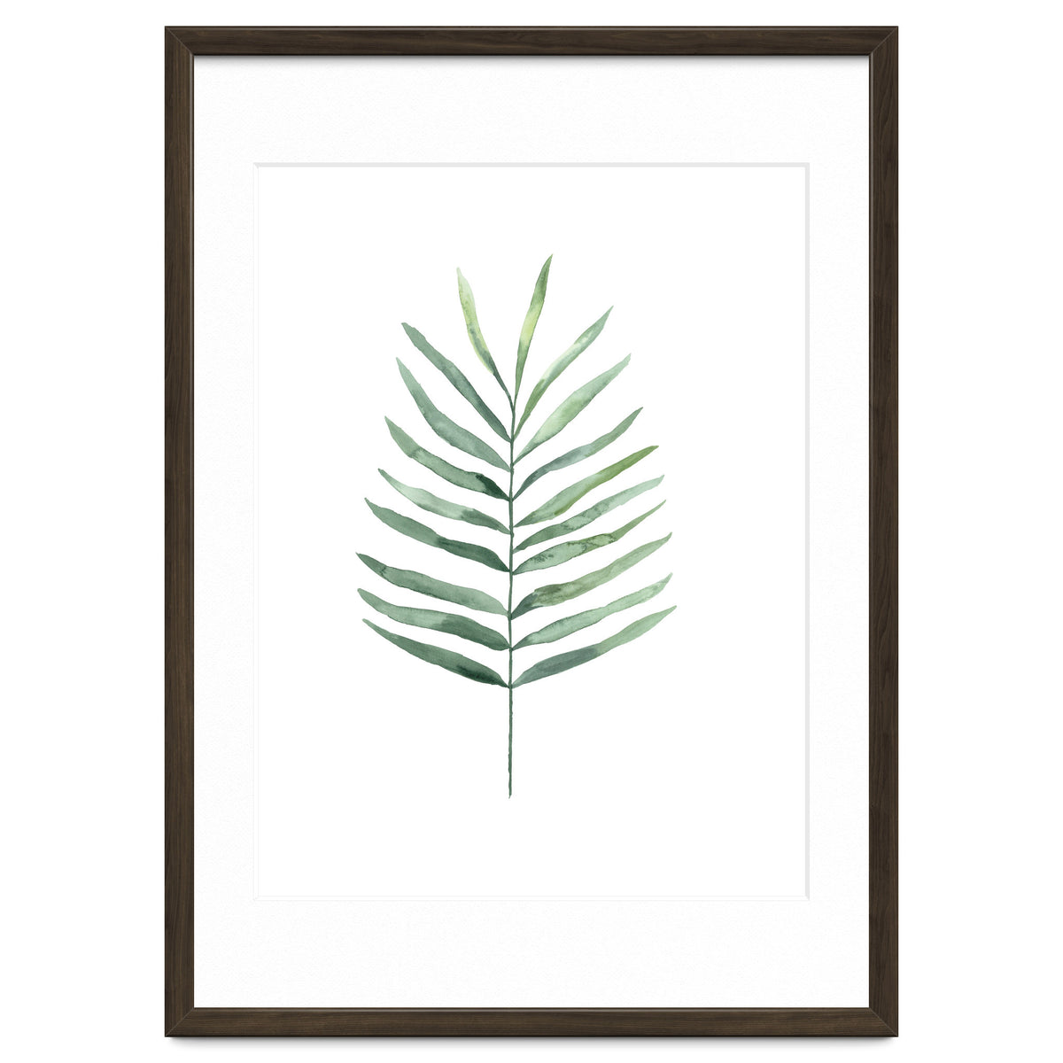 Botanical Illustration Fern