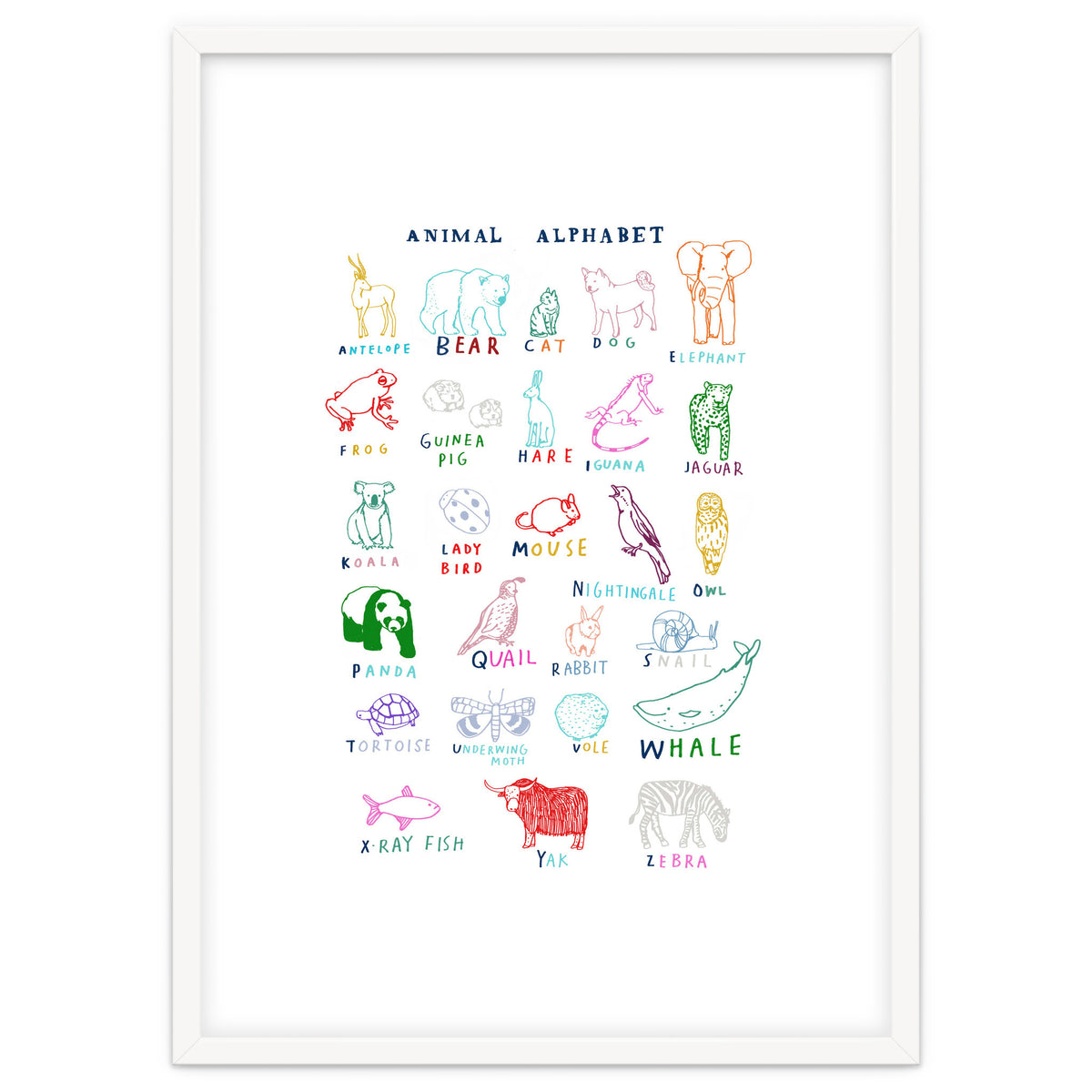 ABC Animals
